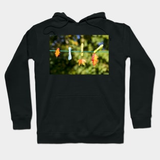 Leaves on a line Hoodie